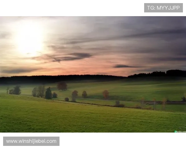 世界杯歌曲ole ole ole经典旋律,成为足球迷心中永恒的回忆