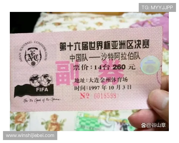 世界杯门票价格最新行情解析,购票指南全方位介绍