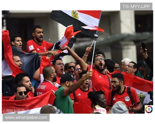 南非世界杯决赛现场氛围与观众反应：全球球迷共同见证的足球盛宴